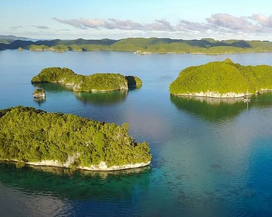 Meet the Underwater Creatures of Palau’s Incredible Coral Reef
