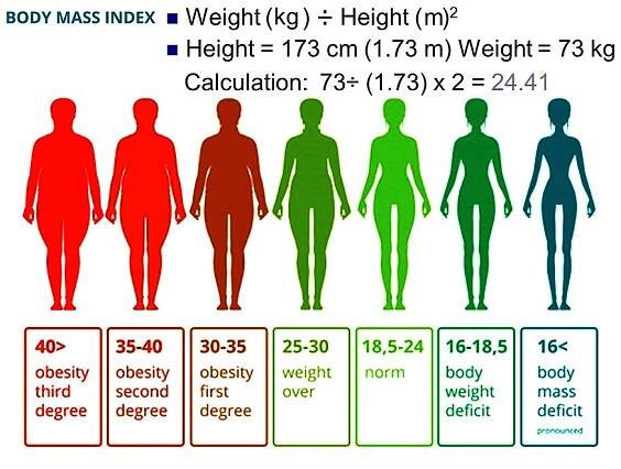 BMI Body Mass Index