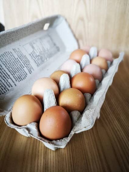 Farm-Fresh Eggs