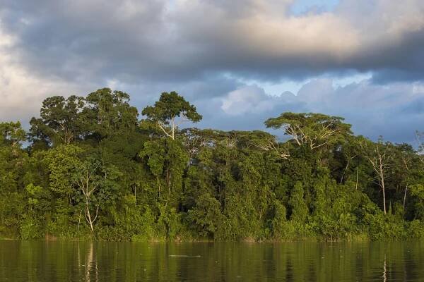 Yaguas-Putumayo