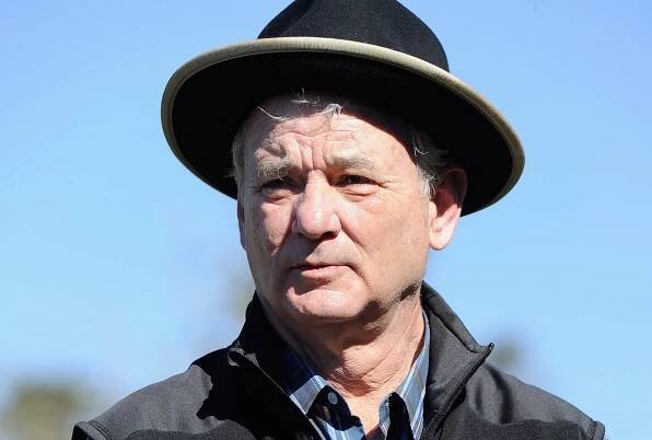 Complaint Against Bill Murray Shuts Down Production on Movie - EssentiallyHollywood.com