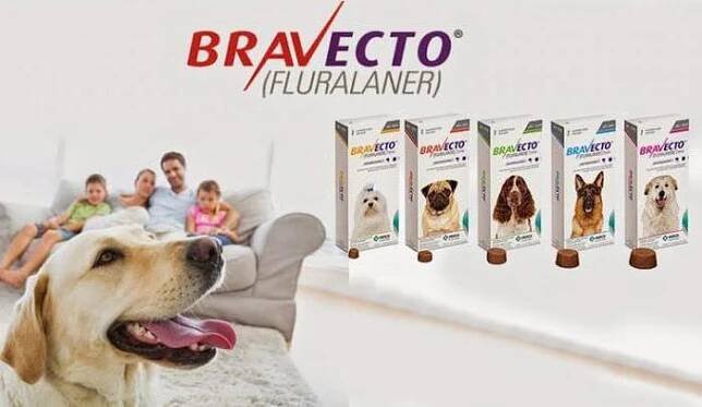 recenze bravecto