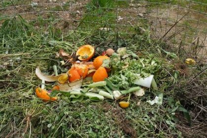Zbytky zeleniny nebo ovoce využijte do kompostu