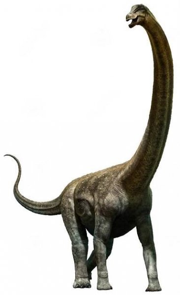 Puertasaurus 3D ilustrace — Stock obrázek