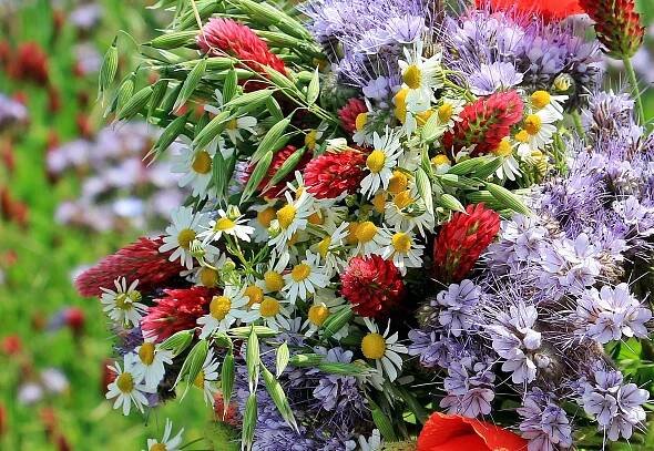 Festival for the summer solstice in Etar open-air museum - Bulgaria Travel News