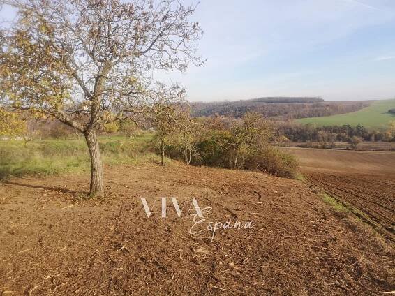 Prodej Pozemek, Mokrá-Horákov - Horákov, okres Brno-venkov