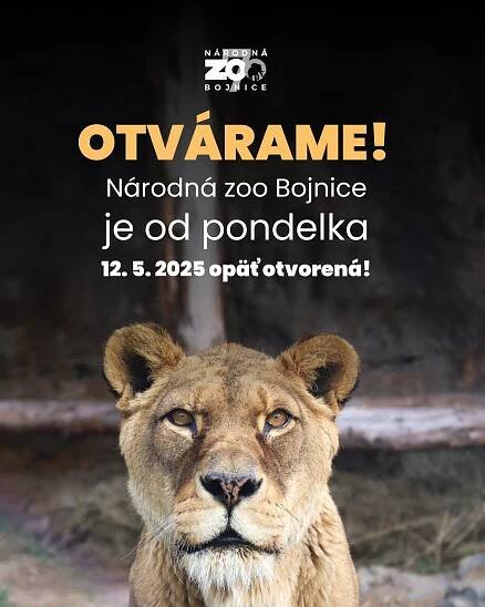 Národná zoo Bojnice je od pondelka 12. 5. 2025 opäť otvorená! - Národná zoo Bojnice