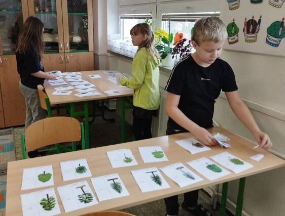Lapbook - ekosystém les - ZŠ Junácká