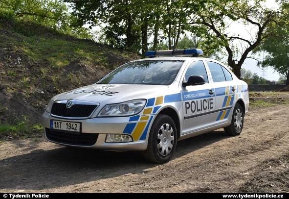 Hlídce PMJ Praha ujížděl motorkář, skončil v koňské ohradě | Týdeník Policie