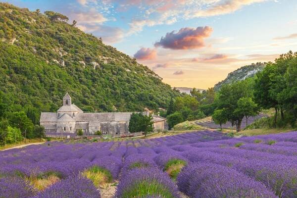 Lavender fields and Sénanque Abbey, Provence, part of the most beautiful places in France (and how to see them)