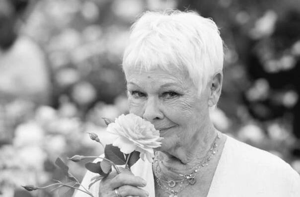 Oscarová herečka Judi Denchová, proslulá nejen jako M – nadřízená agenta 007, dnes slaví narozeniny