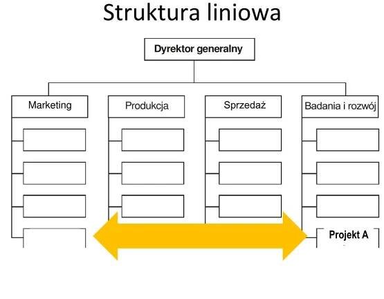 PPT - Zarządzanie projektami PowerPoint Presentation, free download - ID:3490130
