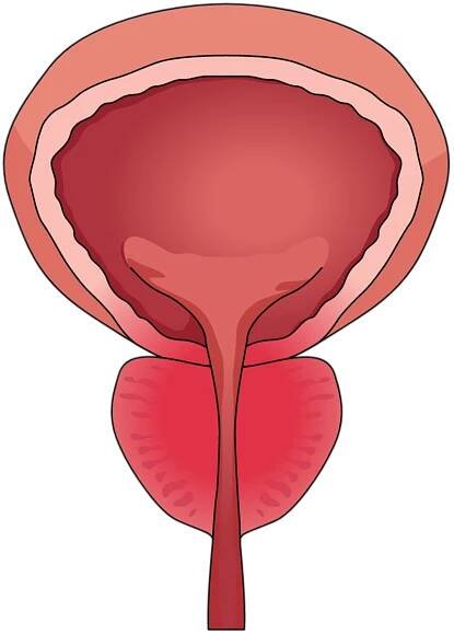 Chronic prostatitis and IBS – Success stories