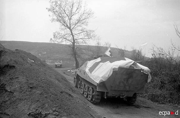 Sd.Kfz.251/8 (sanitní vozidlo) : Německo (DEU)