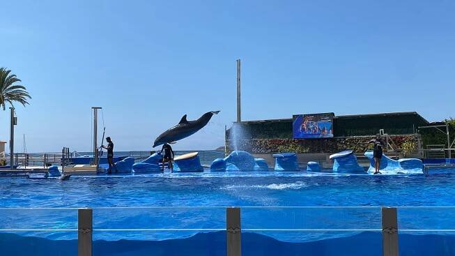 Delfinárium Marineland Mallorca (Táta)