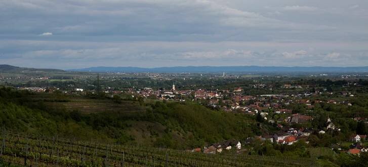 Langenlois