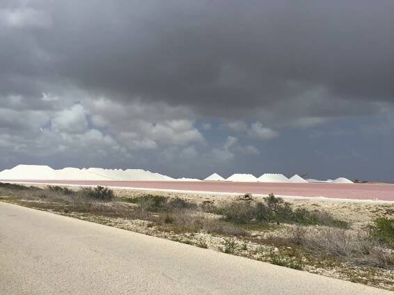 Bonaire 2017 – Alberto Delgado