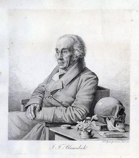 Johann Friedrich Blumenbach – Wikipedia