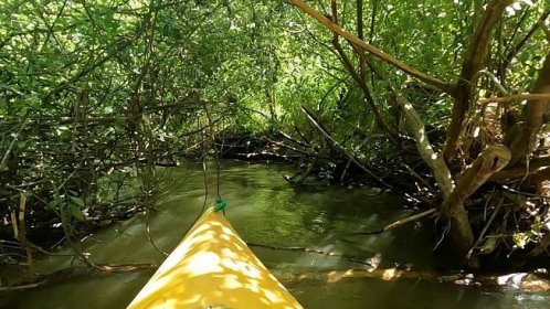VIDEO: Kánoí po české Amazonce. Ploučnici chybí už jen krokodýli a malárie