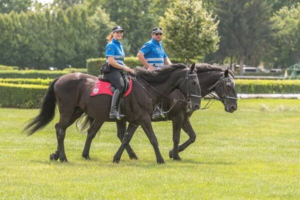 Dostihové závodiště Pardubice - sportovní zařízení - Východní-Čechy.info - oficiální turistický portál Pardubického kraje