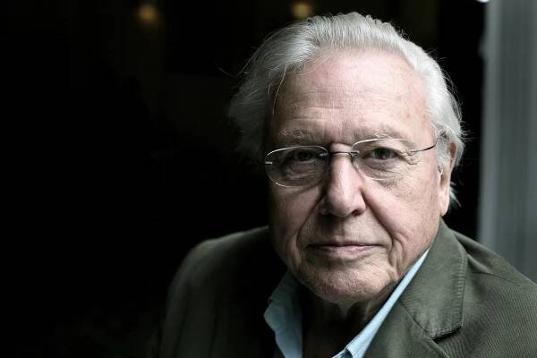 Sir David Attenborough — things you didn't know about the legendary broadcaster