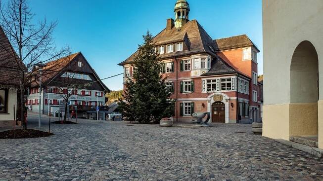 Lenzkirch Hotels: 153 Cheap Lenzkirch Hotel Deals