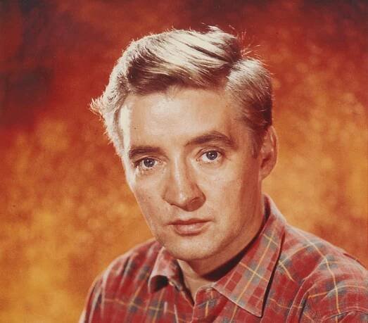Blog 2 — Oskar Werner