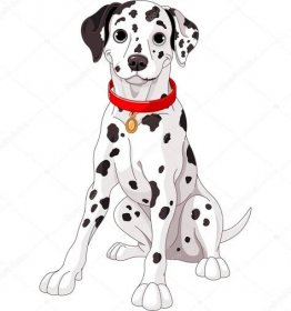 Roztomilý Dalmatin pes