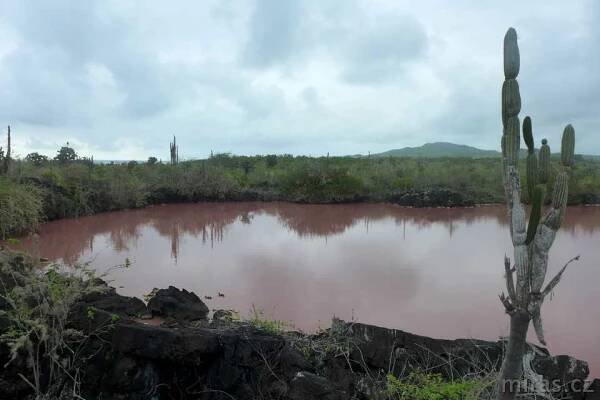 Galapágy