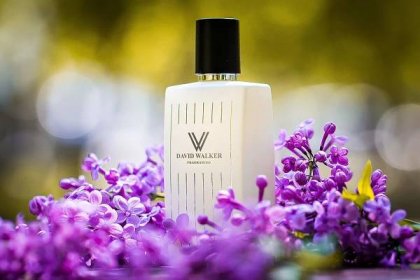 Amazon.com : David Walker Perfume - ROYAUMI | Women | 50 ml/1.7 oz : Beauty  & Personal Care