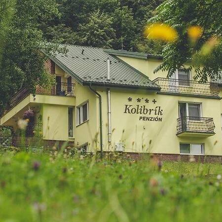 Penzion Kolibrik Bardejovské Kúpele Exteriér fotografie