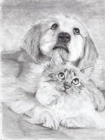 Jak nakreslit kočku a psa společně