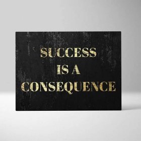 SUCCESS_IS_A_COSEQUENCE5