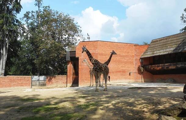 Liberec 1: Zoologická zahrada