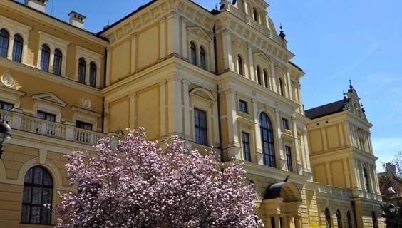 Jihočeské muzeum v Českých Budějovicích | Muzea a historie České Budějovice | NaVylet.cz