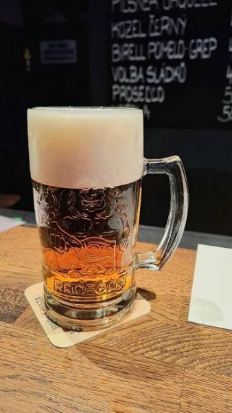 Radegastovna U Lva foto 5