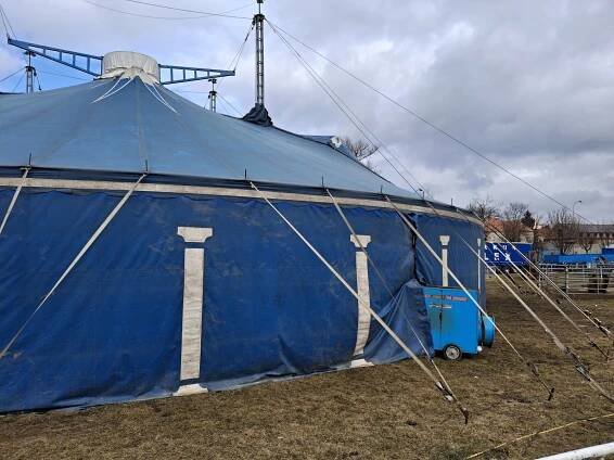 Cirkus Alex rozbalil stan v Kutné Hoře. Nabídne světové umělce i zvířecí hvězdy