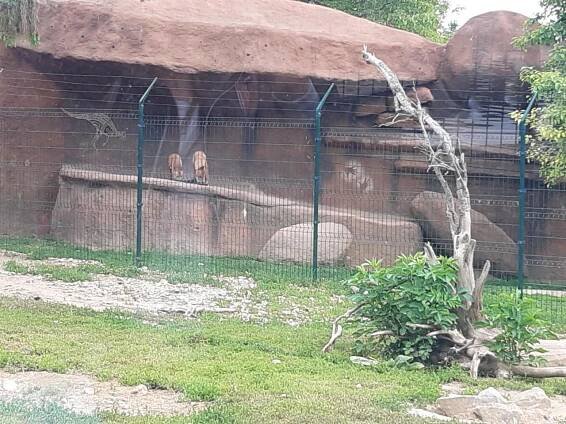 Zajíčci - školní výlet Zoo Vyškov - Oficiální stránky ZŠ a MŠ Vřesovice