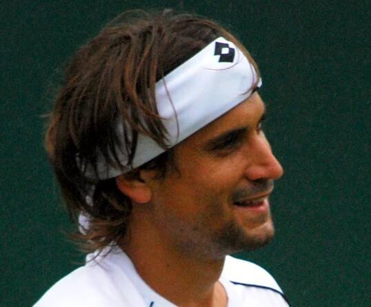 Soubor:David Ferrer crop.jpg