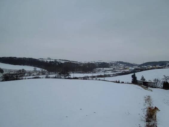 Velatice - 17.1.2013