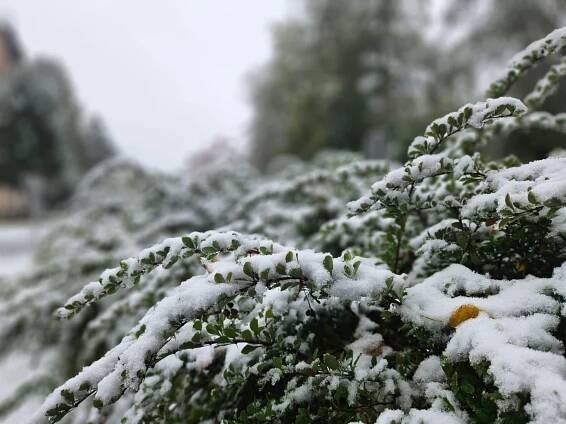 PRVÝ SNEH na Slovensku (FOTO)