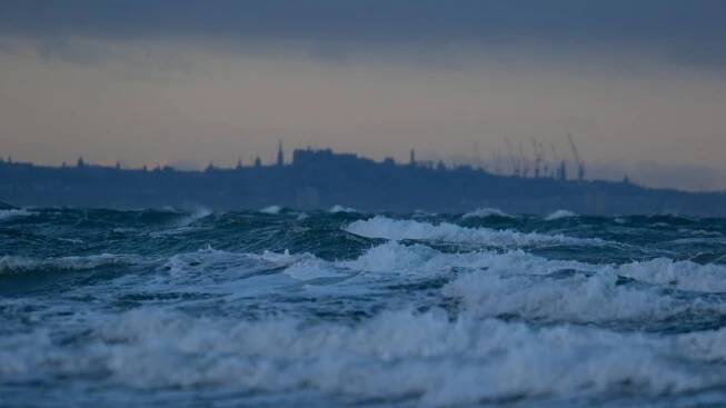Restore Scotland’s nature on land and at sea - Scotlink