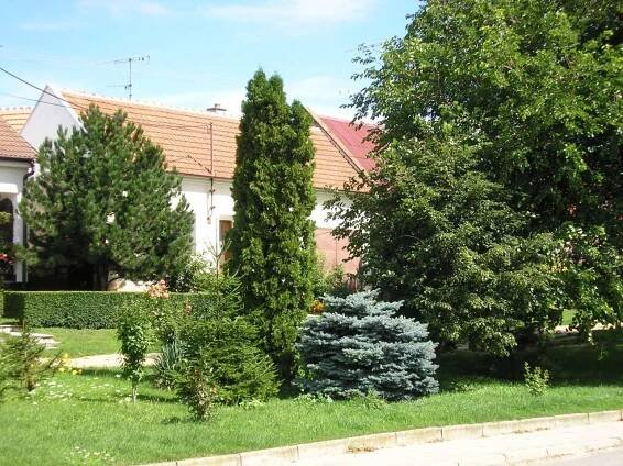Obec - Obec v létě - Oficiální stránky obce Sedlec u Mikulova