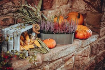 Podzimní dekorace pro Váš balkon, terasu i zahradu | Moderní zahrada