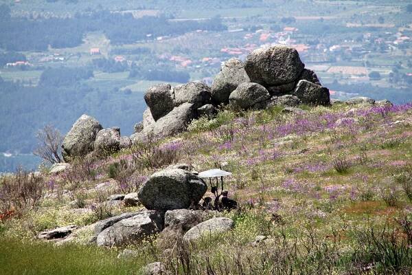 Soubor:Serra da Estrela-216-Ziegenhirt-2011-gje.jpg – Wikipedie