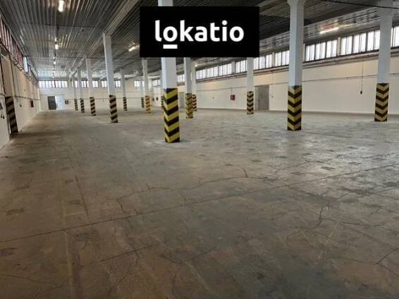 Pronájem skladového prostoru 2462 m², Kostěnice
