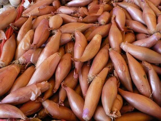 Shallots