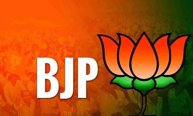 Bjp Kamala In Orange And Green Gradient Wallpaper