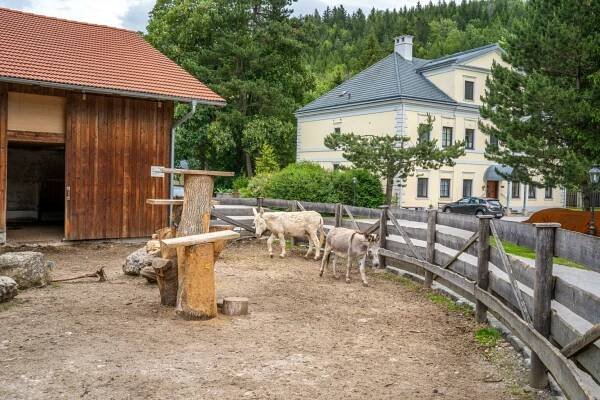 Gut Landsthal