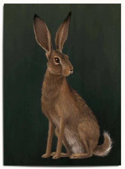 The Hare